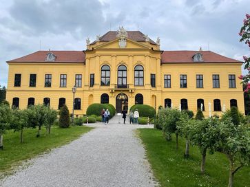 [1716455351938385.jpg]