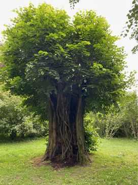 [1716456303534850.jpg]