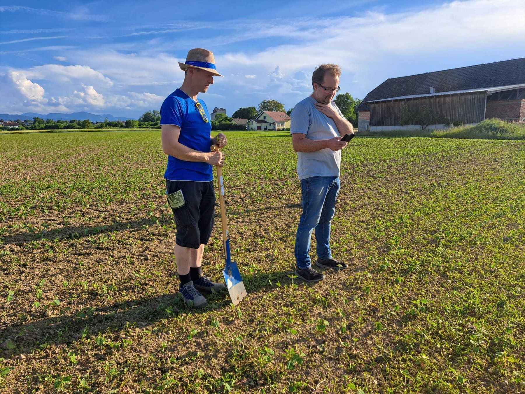 Eindrücke von der spannenden Feldbegehung AK Boden.Wasser.Schutz – Ried im Traunkreis mit Gerhard Gebeshuber und Christoph Ömer. Schwerpunkte waren Mais (Strip till), Problem Ackerfuchsschwanz und Distel, sowie Aktuelles zum Soja, Mais, Hafer und Gerste. Danke für das große Interesse! © BWSB