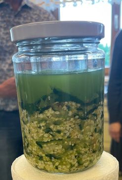 [1716975834802877.jpg]