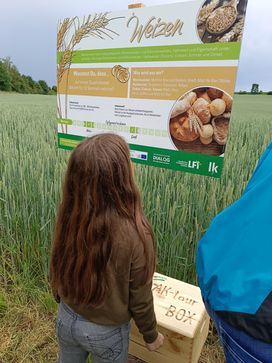 [1717183289195337.jpg]