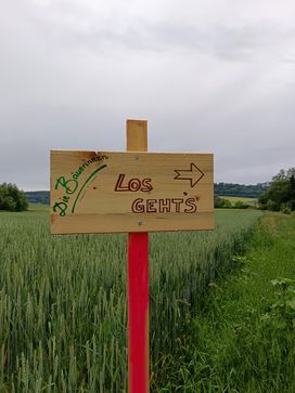 [1717183912573274.jpg]