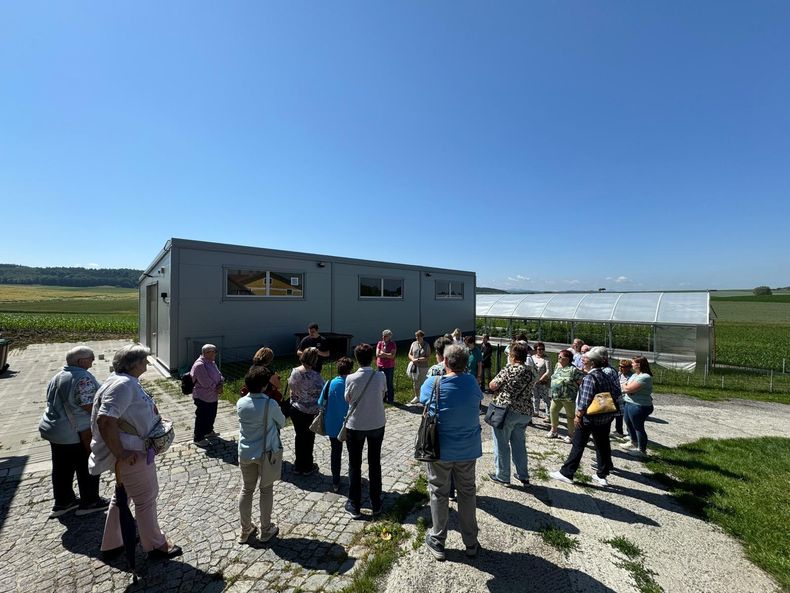 WhatsApp Image 2024-06-09 at 20.56.20.jpg WhatsApp Image 2024-06-09 at 20.56.20.jpg