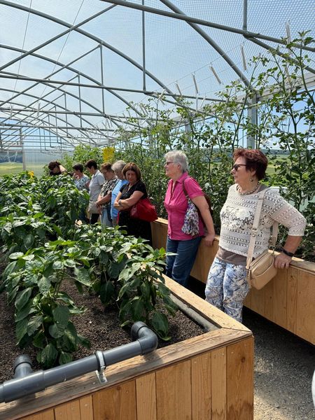 WhatsApp Image 2024-06-09 at 20.56.21 (1).jpg WhatsApp Image 2024-06-09 at 20.56.21 (1).jpg