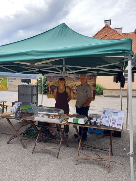 20240609 092911.jpg 20240609 092911.jpg