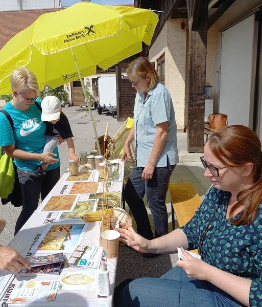 20240609 103318.jpg 20240609 103318.jpg