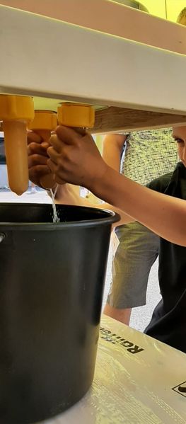 IMG-20240609-WA0011.jpg IMG-20240609-WA0011.jpg