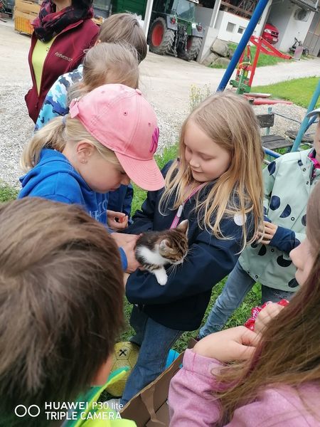 Schuljause Obdf 3.jpg