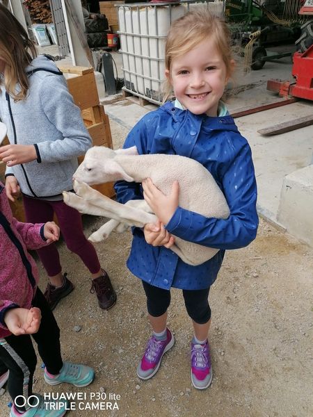 Schuljause Obdf 4.jpg