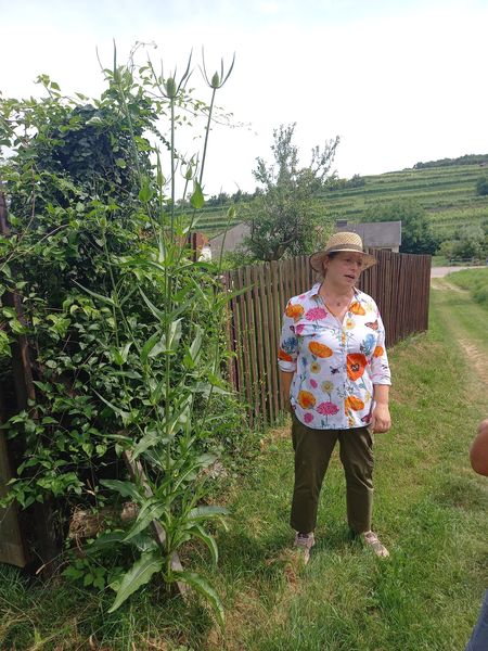 20240627 152936.jpg 20240627 152936.jpg