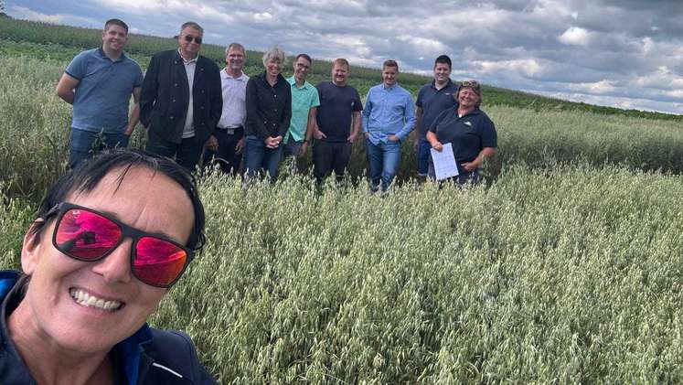 Erstes Treffen vom "Speisehaferprojekt" am Edelhof, 2. Juli 2024