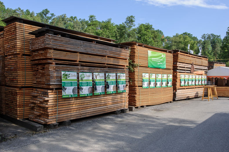 Waldfest Raabs an der Thaya 2024 © Ing. Gerald Pfabigan Waldfest Raabs an der Thaya 2024 © Ing. Gerald Pfabigan