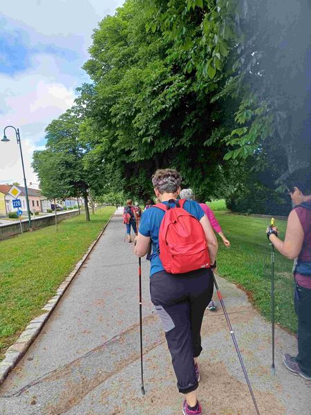 20240601 114620....jpg 20240601 114620....jpg