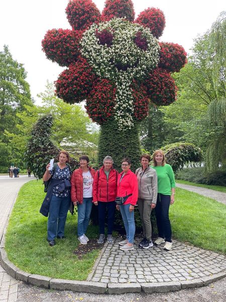 IMG-20240706-WA0009.jpg IMG-20240706-WA0009.jpg