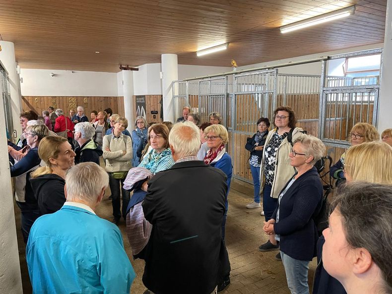 IMG-20240706-WA0027.jpg IMG-20240706-WA0027.jpg