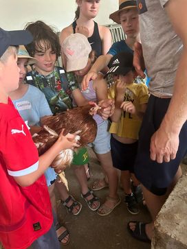 [1722017933241819.jpg]