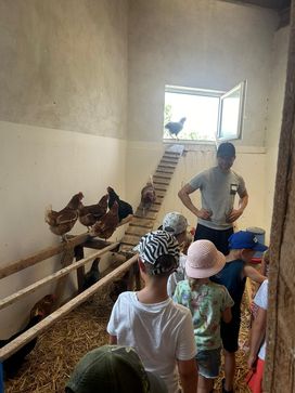 [1722017935216741.jpg]