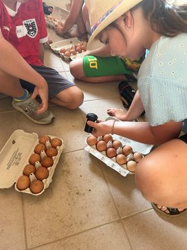 [1722017939371679.jpg]