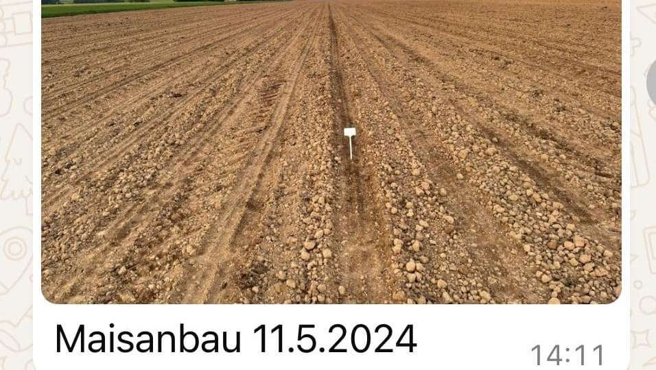 Chronologie des BIO Landeskörner Sortenversuches aus Eberstalzell