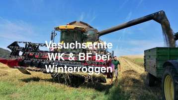 Ernte beim BIOVersuch "Wildkräuter- und Brutflächen" bei Roggen in Sankt Oswald bei Haslach, 26. Juli 2024
