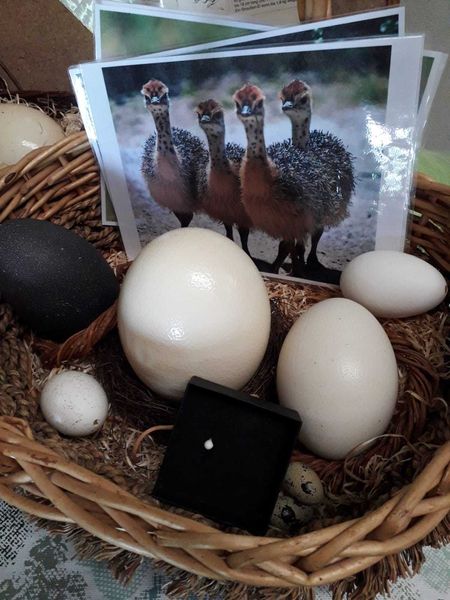 WhatsApp Bild 2024-06-10 um 14.04.23 c53ccf1a.jpg