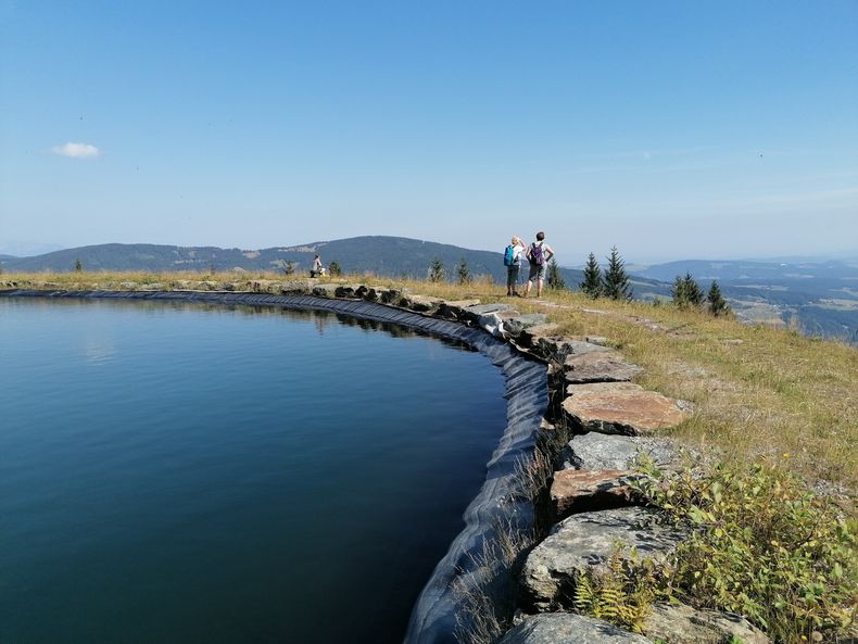 IMG 20240828 105115.jpg