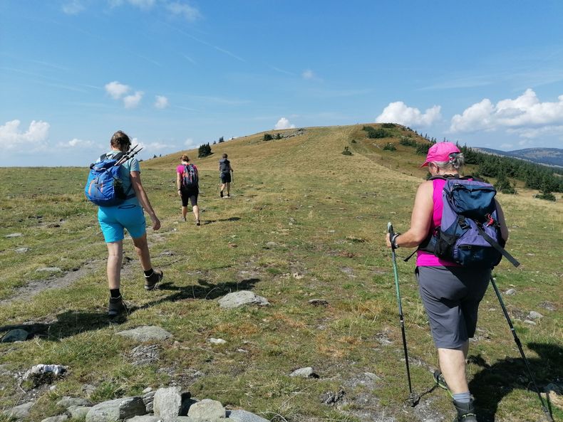 IMG 20240828 120333 resized 20240828 062253520.jpg