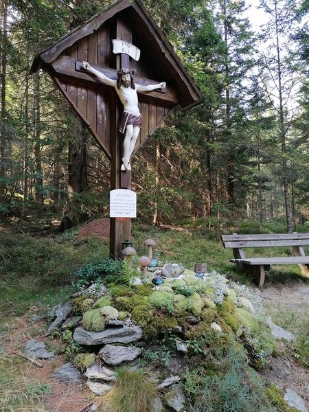 IMG 20240828 150434 resized 20240828 062319089.jpg