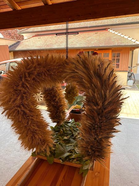 31082024 Kathi (3).jpg 31082024 Kathi (3).jpg