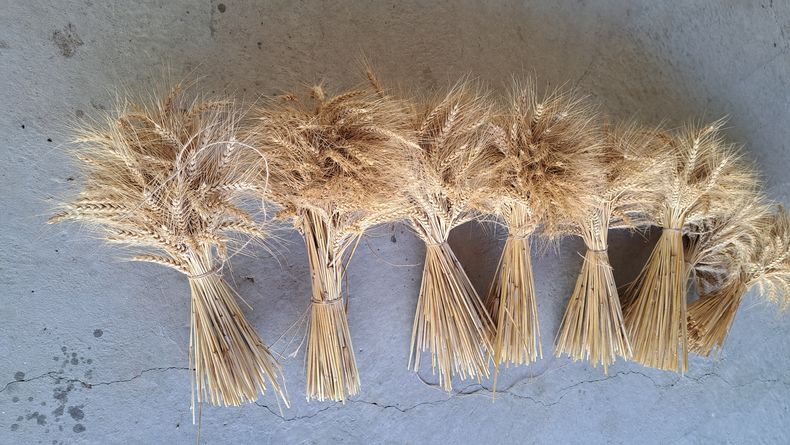 31082024 Tina (1).jpg 31082024 Tina (1).jpg