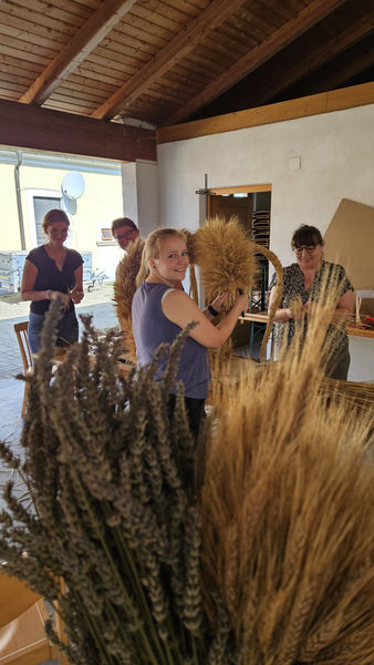 31082024-Wolfi- 1 .jpg 31082024-Wolfi- 1 .jpg