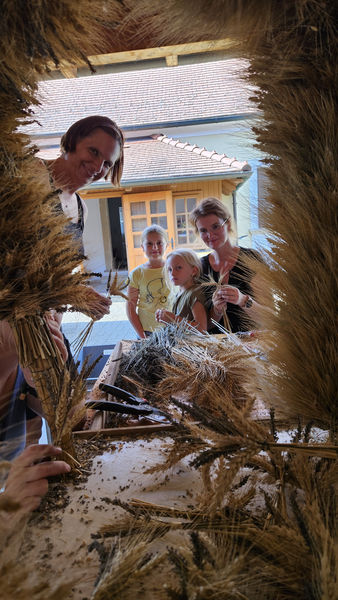 31082024-Wolfi- 7 .jpg 31082024-Wolfi- 7 .jpg