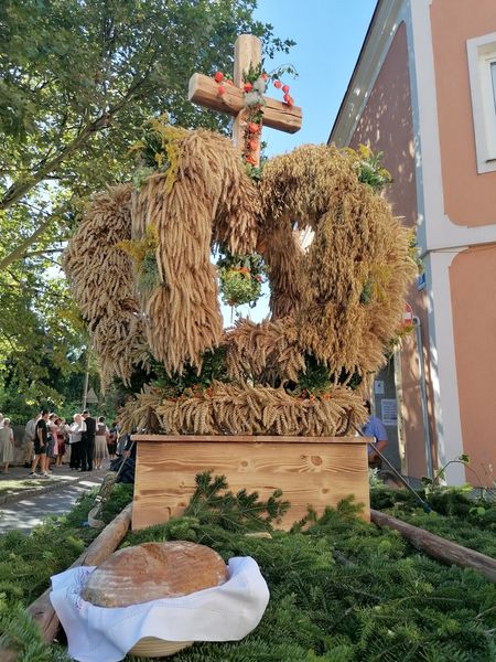 IMG 20240908 093053 resized 20240908 092148631.jpg