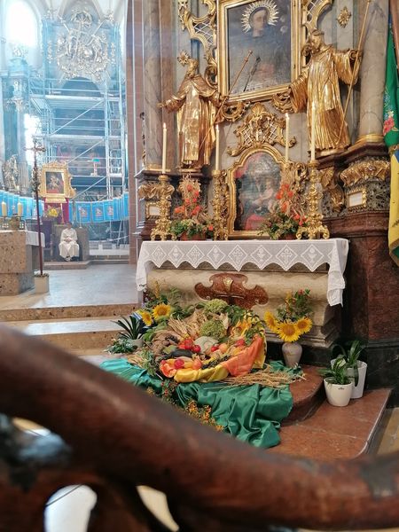 IMG 20240908 103705 resized 20240908 092214507.jpg