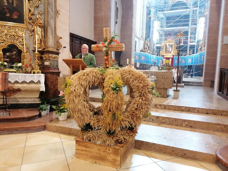 IMG 20240908 104632 resized 20240908 092235435.jpg