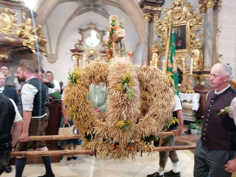 IMG 20240908 105719 resized 20240908 092234237.jpg