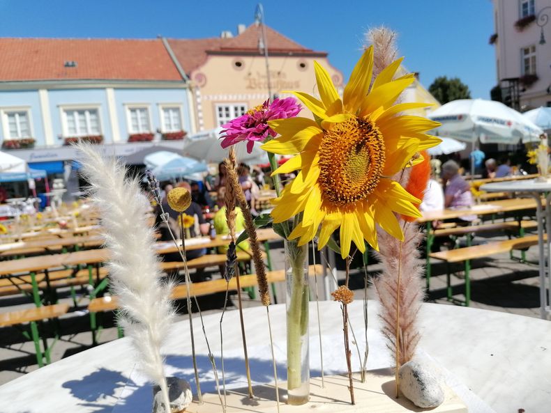 IMG 20240908 124533.jpg