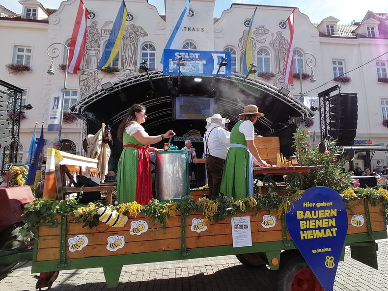 IMG 20240908 132559.jpg