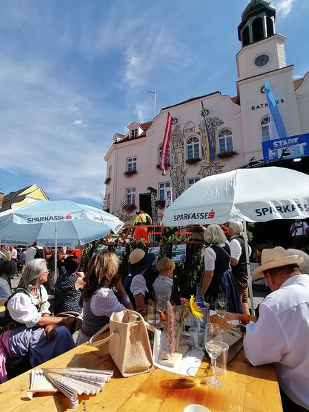 IMG 20240908 133112.jpg