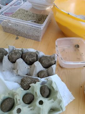 [1726038730754177.jpg]