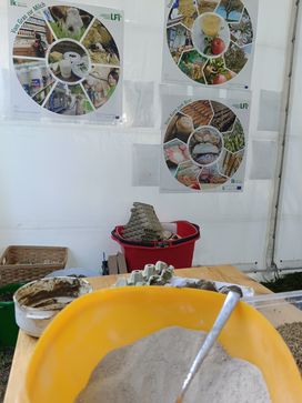 [1726038740479532.jpg]