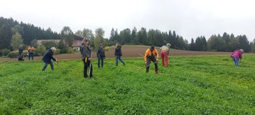 [1728552562584334.jpg]