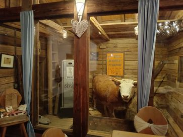 [173003198633326.jpg]