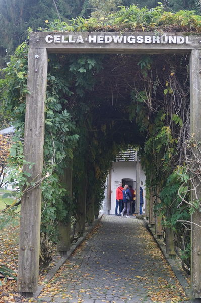 Herbstexkursion 2024 ©&nbsp;Die Bäuerinnen im Gebiet Weitra