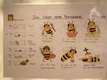 [1730377850110840.jpg]