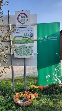 [1730819359134613.jpg]