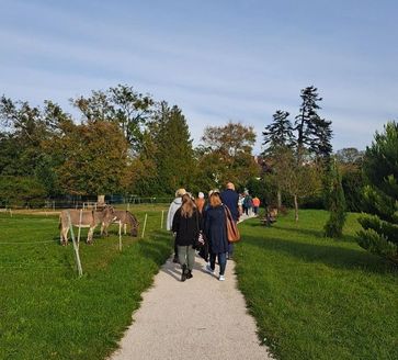 [1730819447448455.jpg]