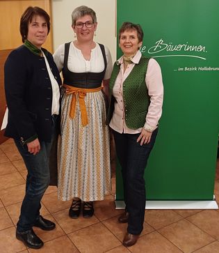 [1730897567519743.jpg]