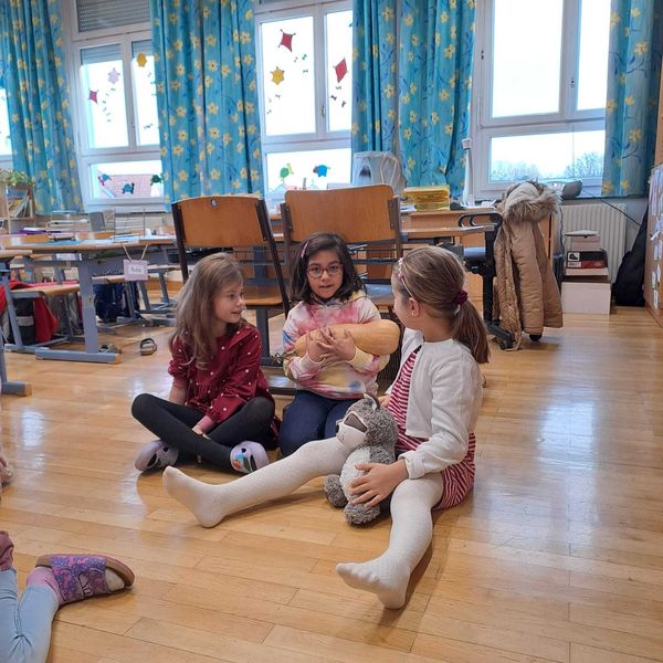 VS Rohrau (4).jpg VS Rohrau (4).jpg