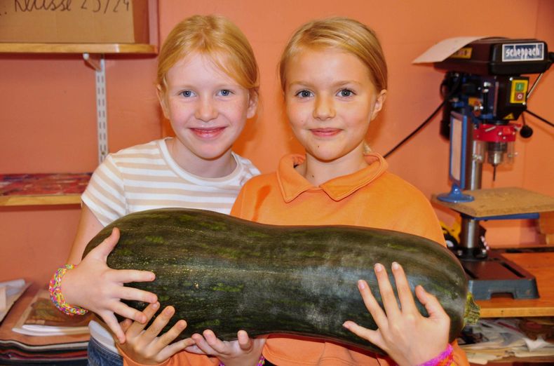 24-10-316.jpg 24-10-316.jpg